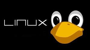 Linux Consulting Services, Linux Server Support, Cloud Consulting, IT Consulting, Infrastructure Monitoring Services